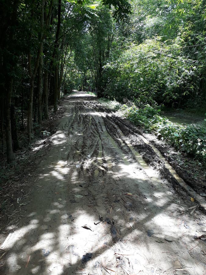 Village Road Bad Condition Not Constructed.people Feel so Much Problem