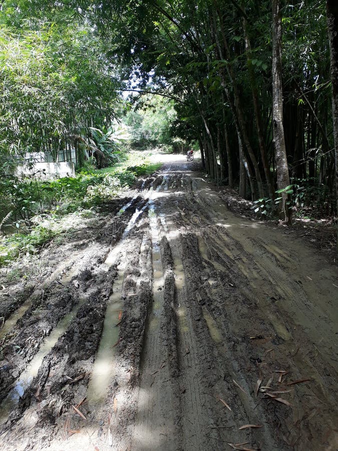 Village Road Bad Condition Not Constructed.people Feel so Much Problem