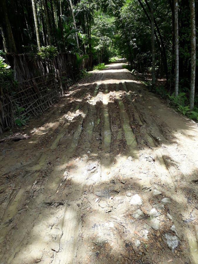 Village Road Bad Condition Not Constructed.people Feel so Much Problem