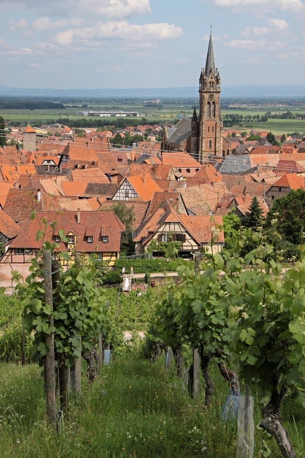 Village with vineyards