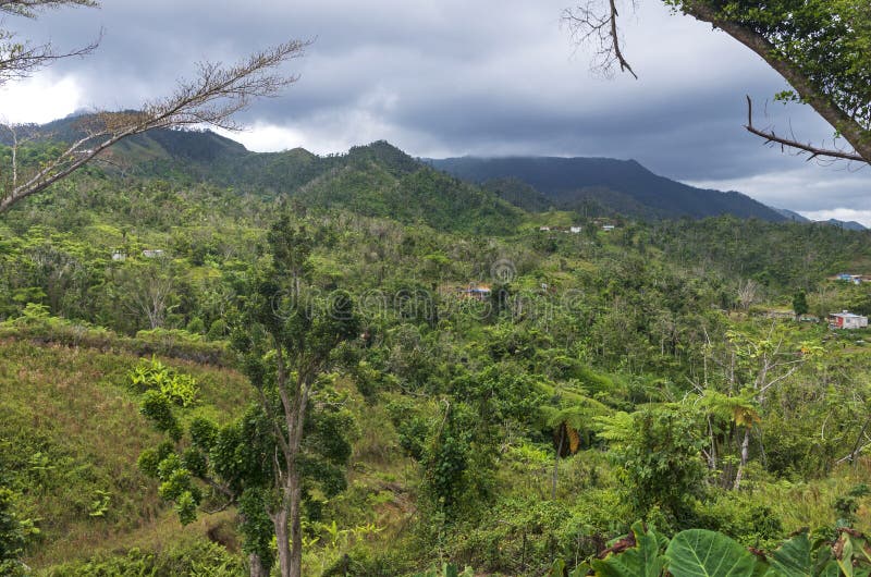 Village in Woods and Valley of Jayuya. Houses in wooded hills and valley surrounded by mountains of jayuya puerto rico royalty free stock photos Village in Woods and Valley of Jayuya. Houses in wooded hills and valley surrounded by mountains of jayuya puerto rico royalty free stock photos