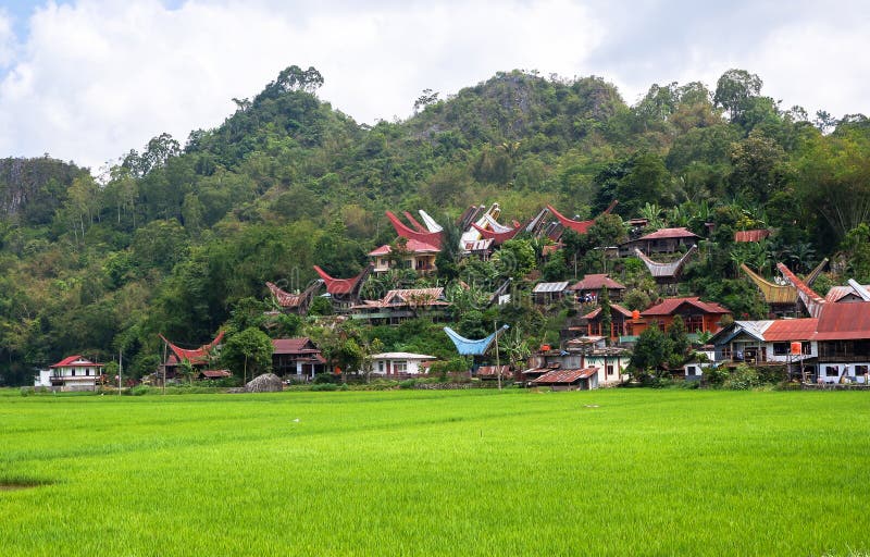 Tato fotografie byla pořízena v Tana Toraja, Sulawesi, Indonésie.