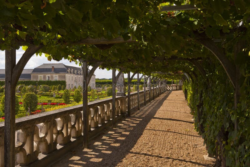Villandry vines stock photos Villandry vines stock photos
