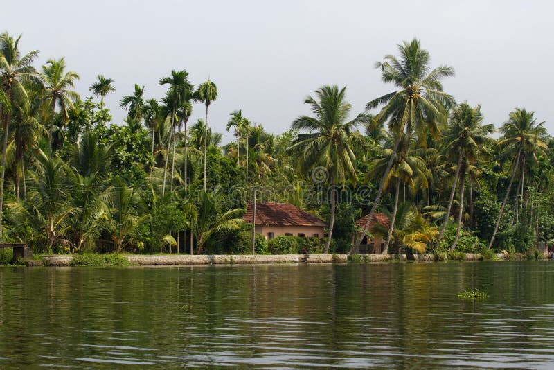 Ville d'Allepey sur l'eau Mare, plantation de riz, manguier de cocotier Paysage de rivière photo stock Ville d'Allepey sur l'eau Mare, plantation de riz, manguier de cocotier Paysage de rivière photo stock