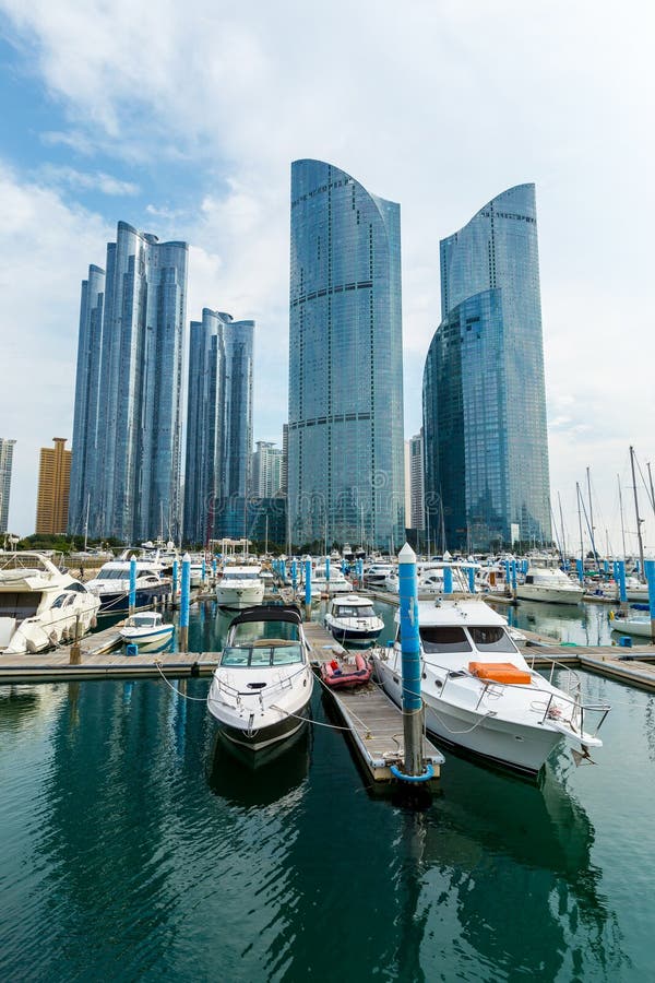 Ville de Busan  la nuit  image stock Image du bureau 