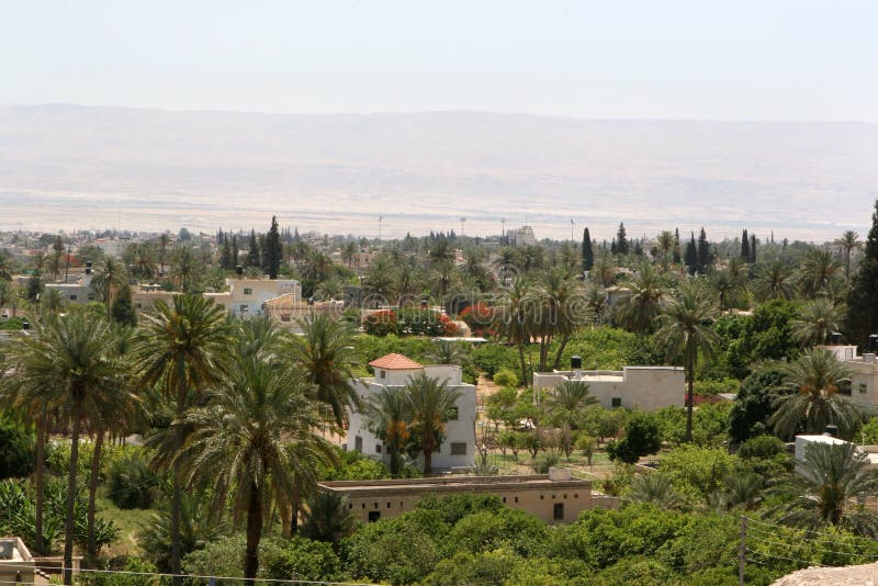 Surrounded by desert, palm trees and lush vegetation abounds in the spring feed city of Jericho, Israel. Surrounded by desert, palm trees and lush vegetation abounds in the spring feed city of Jericho, Israel.