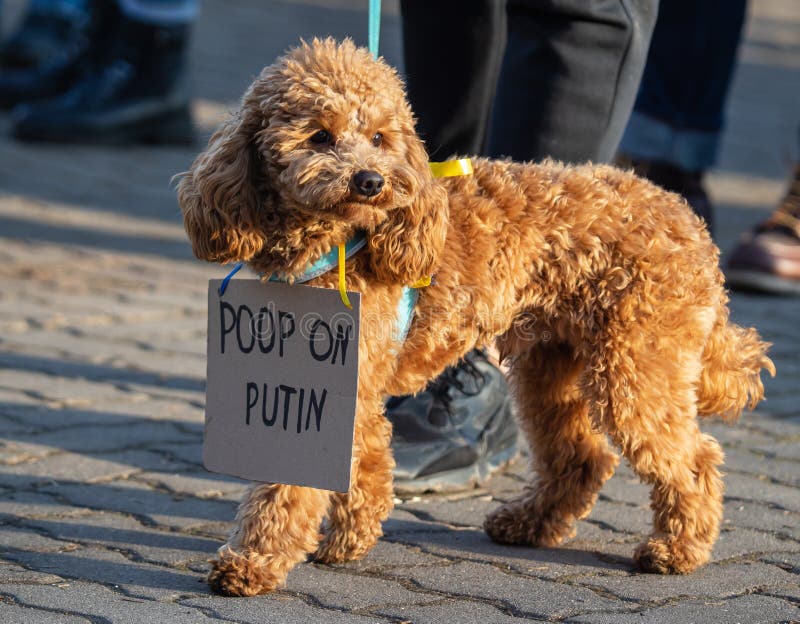 Protest Demonstration Against the War in Ukraine in Vilnius, Lithuania ...