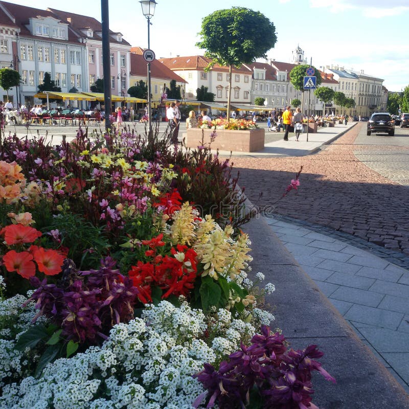 Vilnius stock photo. Image of square, flowers, vilnius 58513804