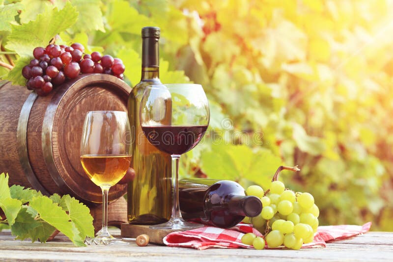 Vin photographie stock libre de droits Vin photographie stock libre de droits
