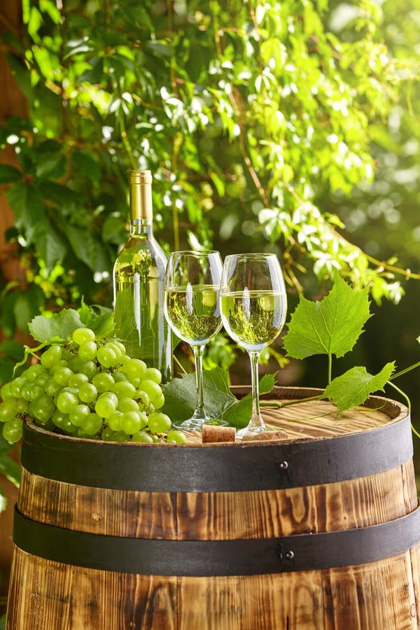 Vin blanc avec le verre à vin et les raisins sur la terrasse de jardin photographie stock Vin blanc avec le verre à vin et les raisins sur la terrasse de jardin photographie stock