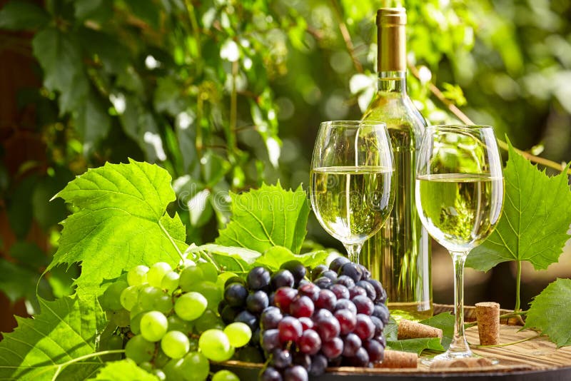 Vin blanc avec le verre à vin et les raisins sur la terrasse de jardin photos libres de droits Vin blanc avec le verre à vin et les raisins sur la terrasse de jardin photos libres de droits