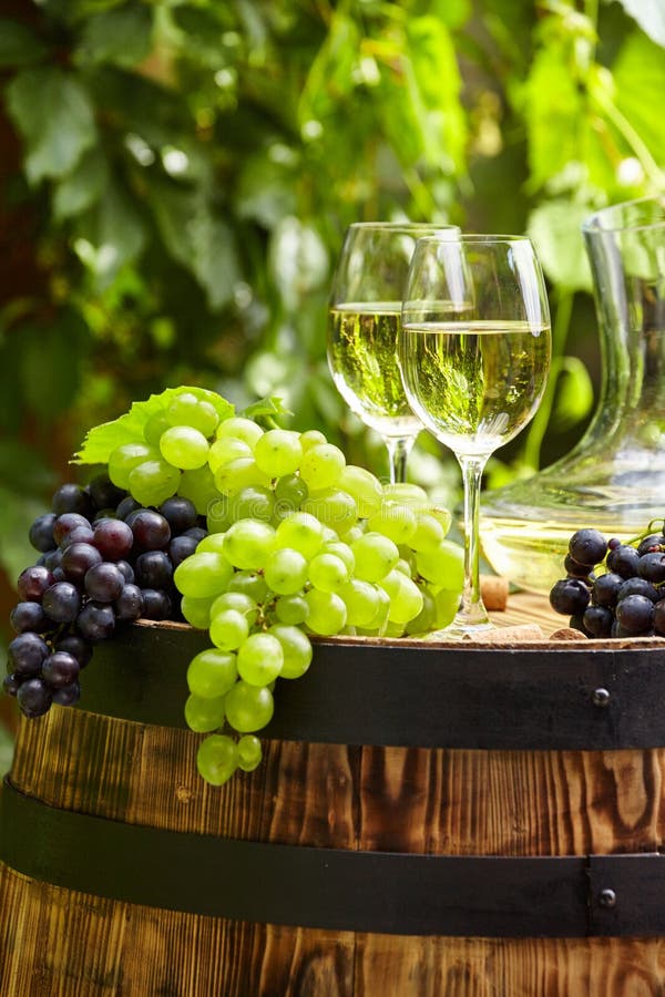 Vin blanc avec le verre à vin et les raisins sur la terrasse de jardin image libre de droits Vin blanc avec le verre à vin et les raisins sur la terrasse de jardin image libre de droits