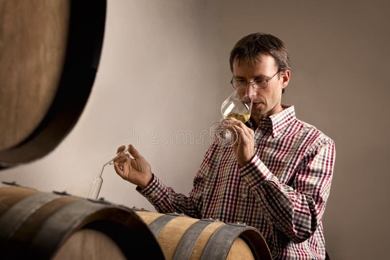 Vin d'échantillon de Winemaker dans la cave. photographie stock Vin d'échantillon de Winemaker dans la cave. photographie stock