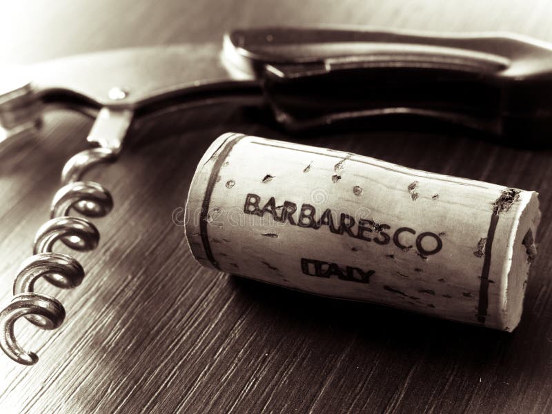 Vin rouge italien photographie stock Vin rouge italien photographie stock