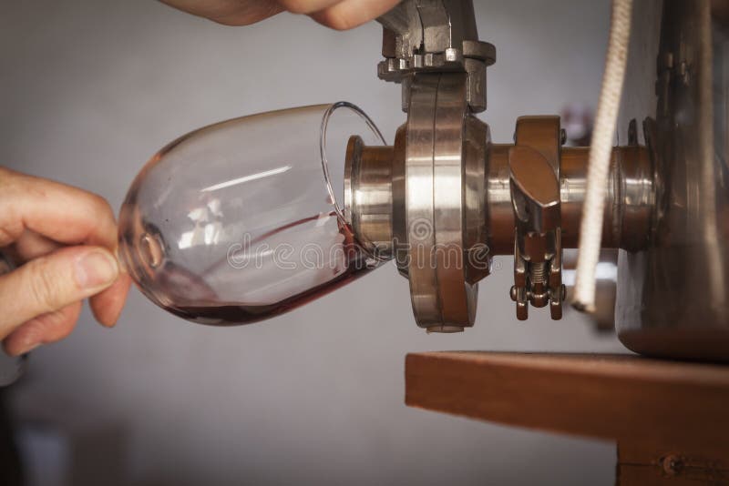 Vinaio Pours Taste di vino dal barilotto in vetro