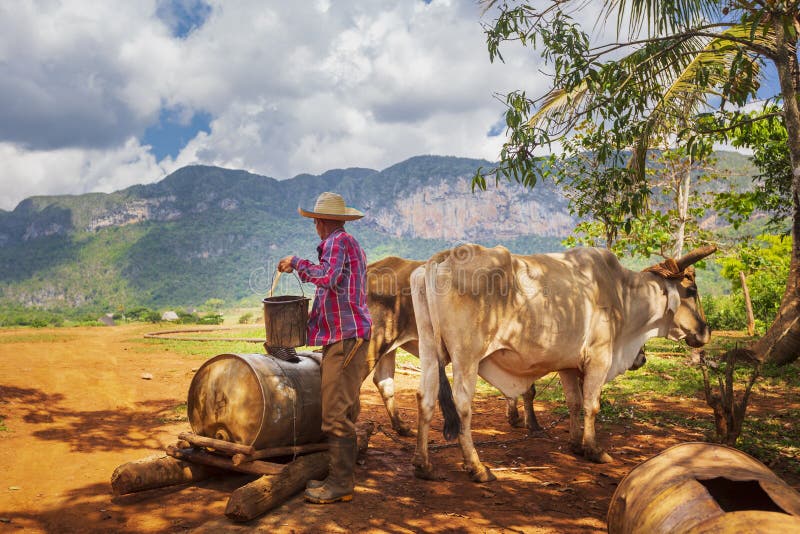 professional farmer 2019 professional farmer 2019