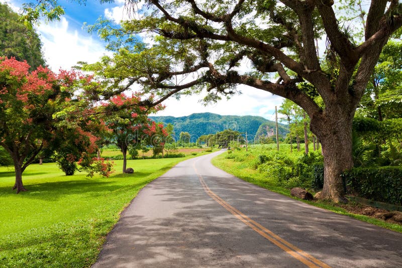 The Vinales valley in Cuba