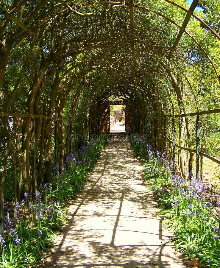 Garden arbor tunnel stock image. Image of path, grape 4900033