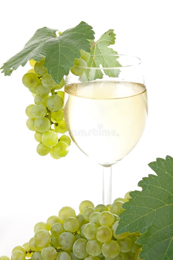 Glass of vine and grape stock photo. Image of wine, agriculture 16044152