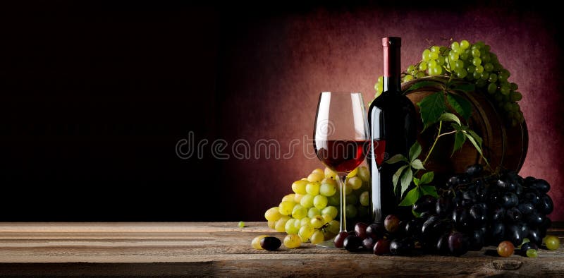 Vine of grape with wine