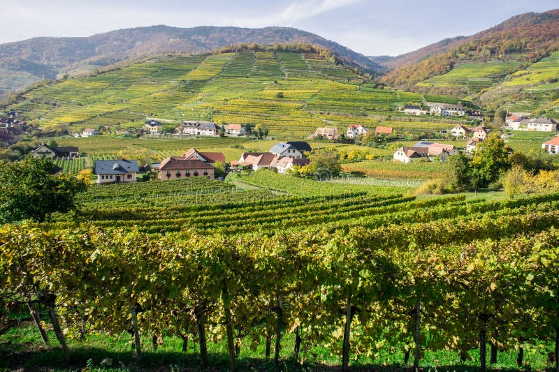 Vine Hills in Lower Austria Stock Image - Image of unesco, building ...