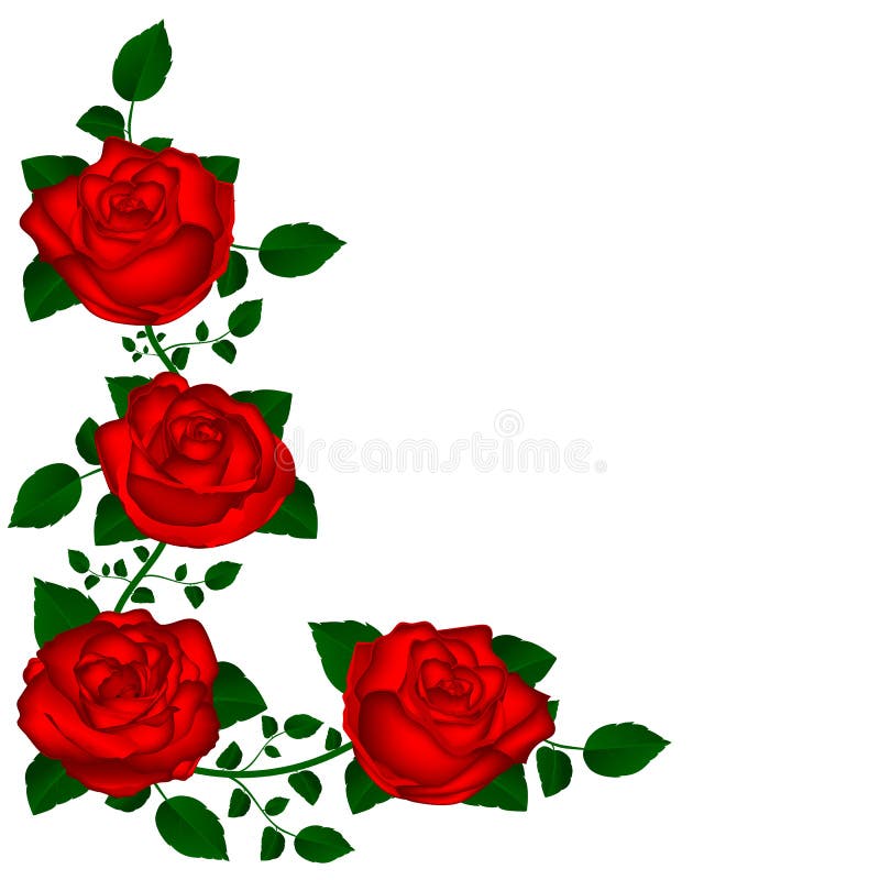 Vine of red roses stock vector. Image of nature, flora 69682957