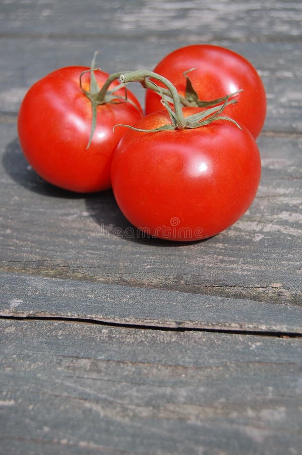 Three Vine Ripened Tomatoes Stock Image Image of whole, white 15875659
