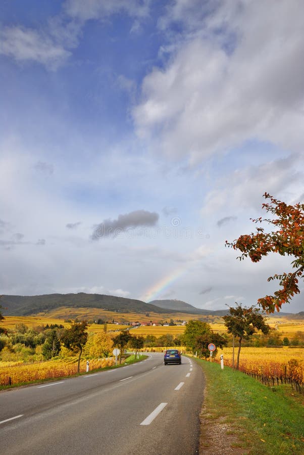Vine Route Motorway stock photography