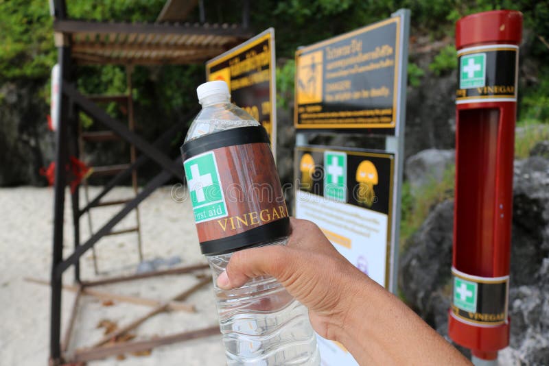 Vinegar with Jellyfish Warning Signs on the Beach Stock Photo Image