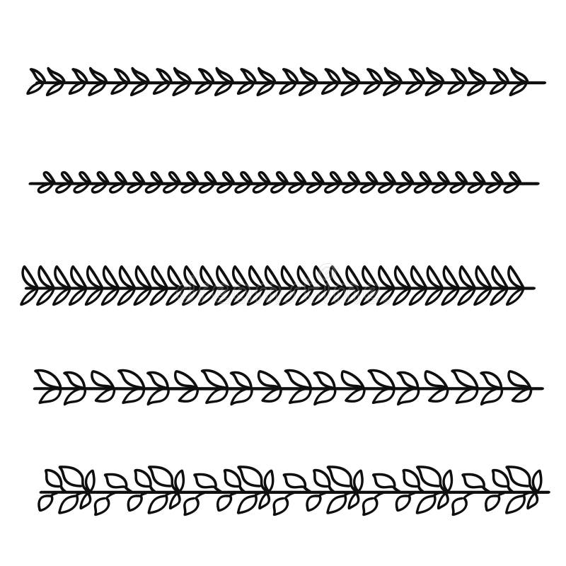 Vines divider for text layout separator decoration element collection vector illustration