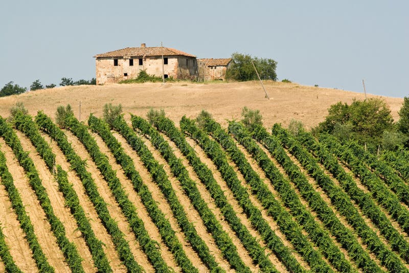 35,278 Vineyard House Stock Photos Free & RoyaltyFree Stock Photos