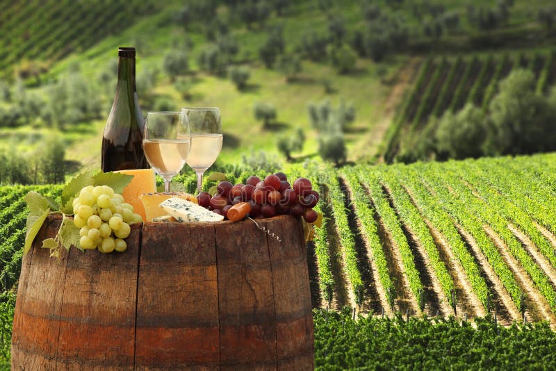 Vineyard in Chianti, Tuscany