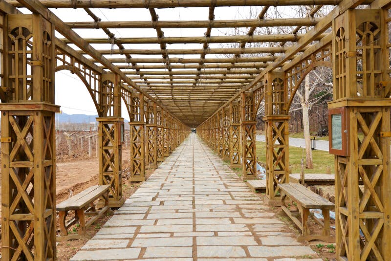 Corridor in Vineyard