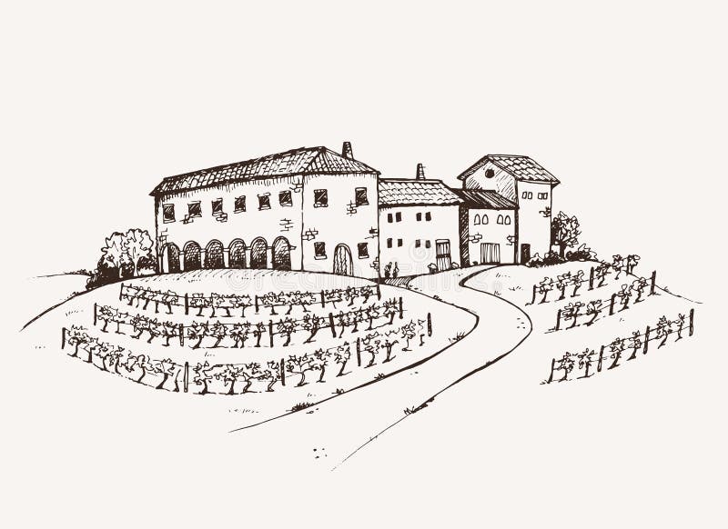 Vineyard estate vector illustration Vineyard estate vector illustration