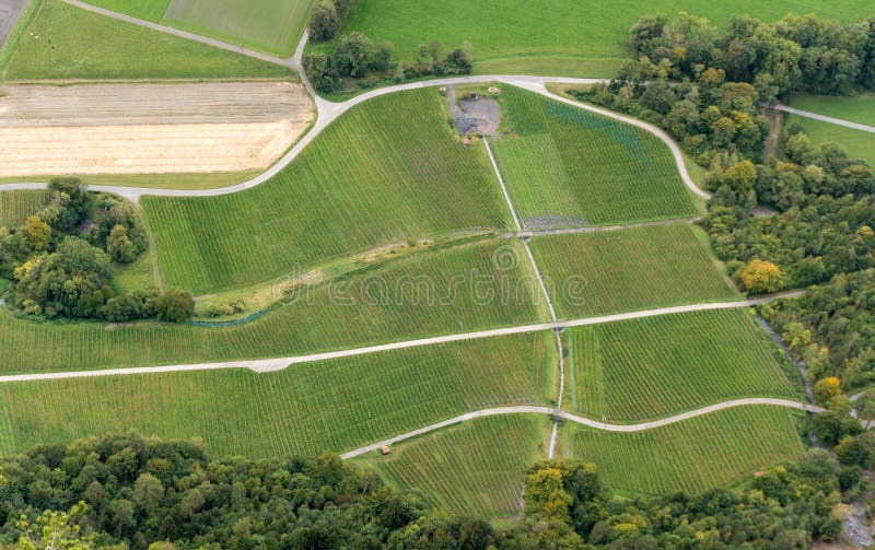 Many green fields in a vineyard landscape with grapevines and a view from above