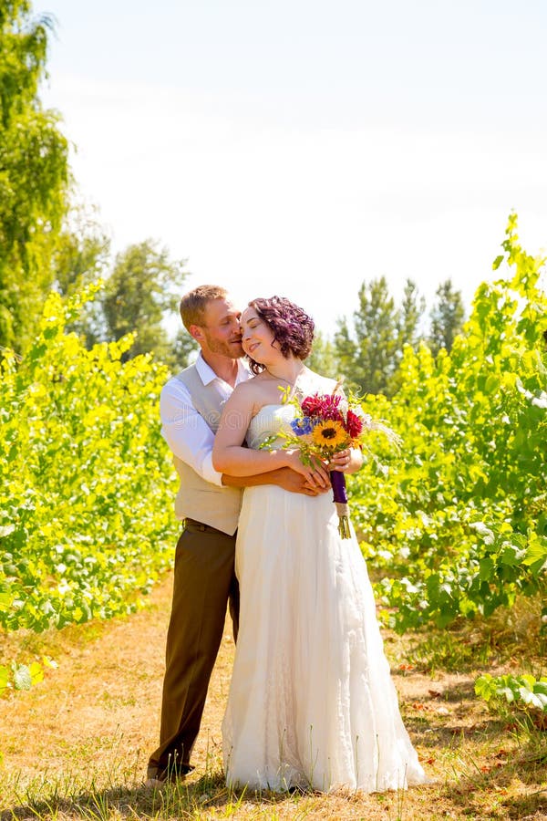 Vineyard Wedding Couple Portrait royalty free stock photos Vineyard Wedding Couple Portrait royalty free stock photos