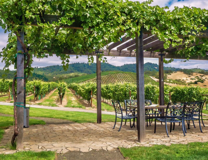 Vineyard and Winery in the Napa Valley Stock Photo Image of field
