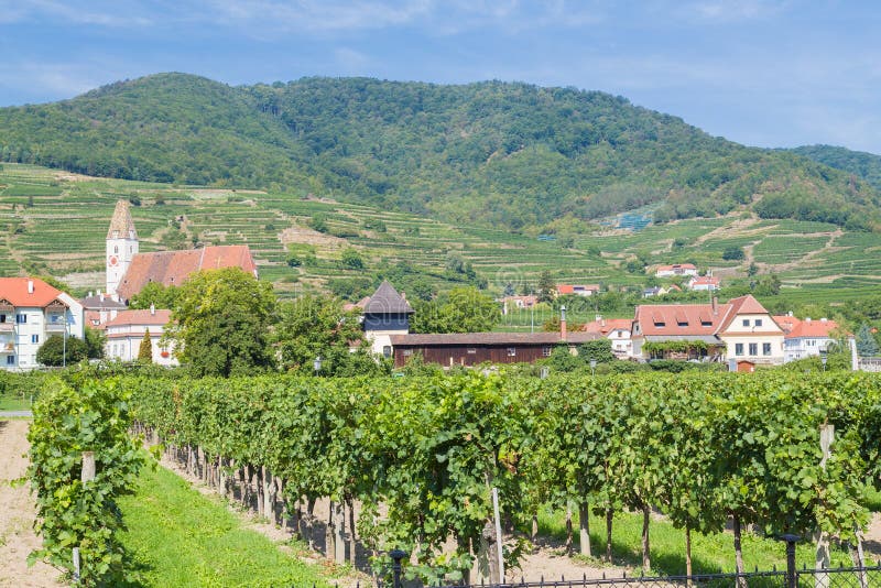 Vineyards and Buildings in Krems, Austria Editorial Image Image of
