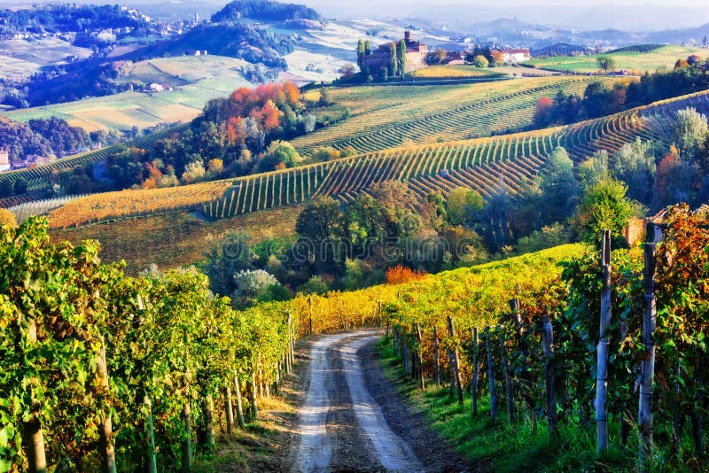 Autumnal landscape in Piemonte,Italy.View with colorful vineyards. Autumnal landscape in Piemonte,Italy.View with colorful vineyards.