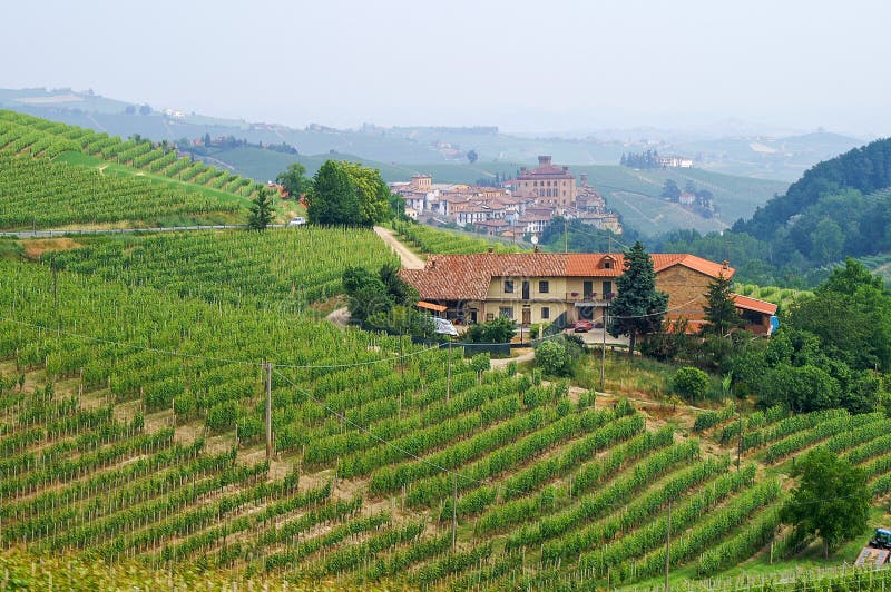 Vineyards in Piemont overlooking the town of Barolo