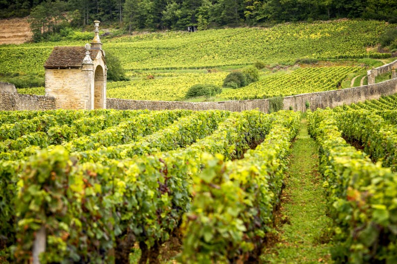 Savigny Les Beaune Photos - Free & Royalty-Free Stock Photos from Dreamstime