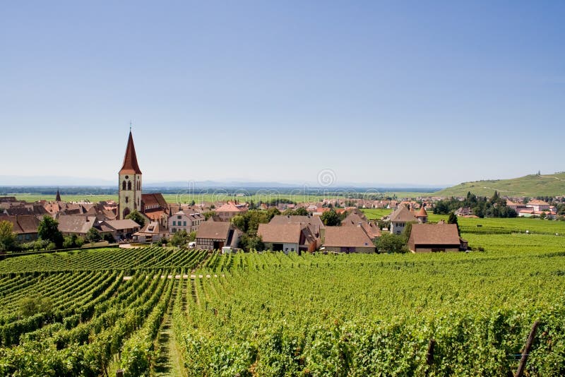 Vineyards and village