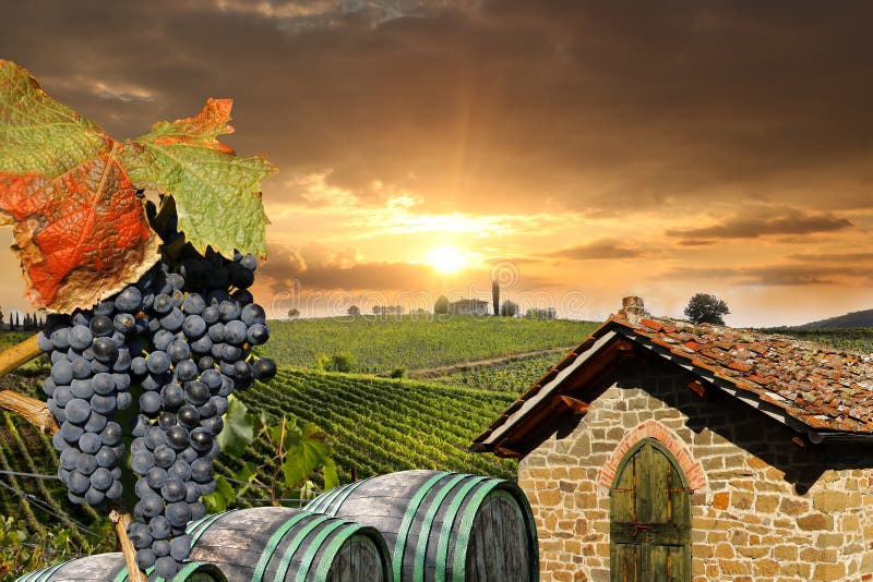 Vineyeard in Chianti, Toskana, Italien, berühmte Länder lizenzfreie stockbilder Vineyeard in Chianti, Toskana, Italien, berühmte Länder lizenzfreie stockbilder