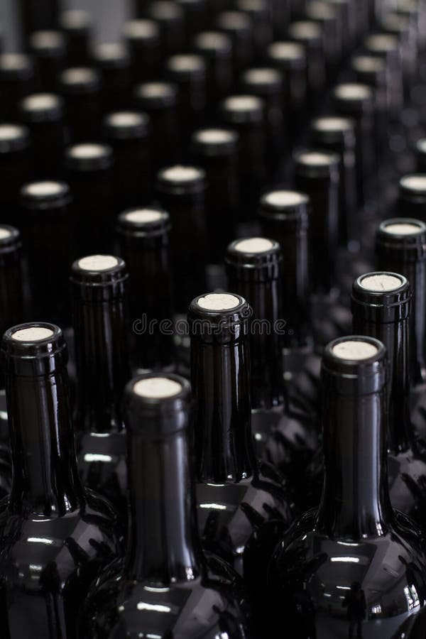 Vinho a ser engarrafado na adega imagens de stock royalty free
