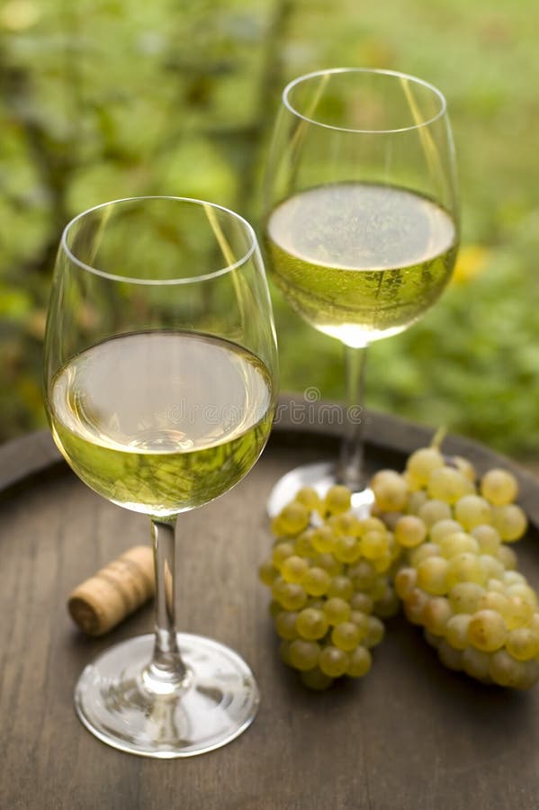 Vino immagine stock Vino immagine stock