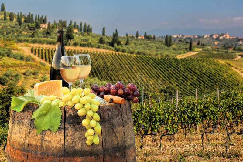 Vino bianco con il barilotto sulla vigna in Chianti, Toscana, Italia