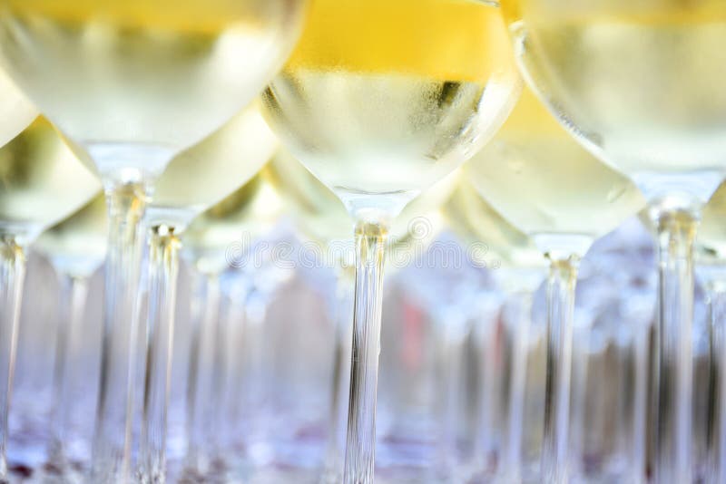 Vino bianco in vetri di vino immagine stock Vino bianco in vetri di vino immagine stock