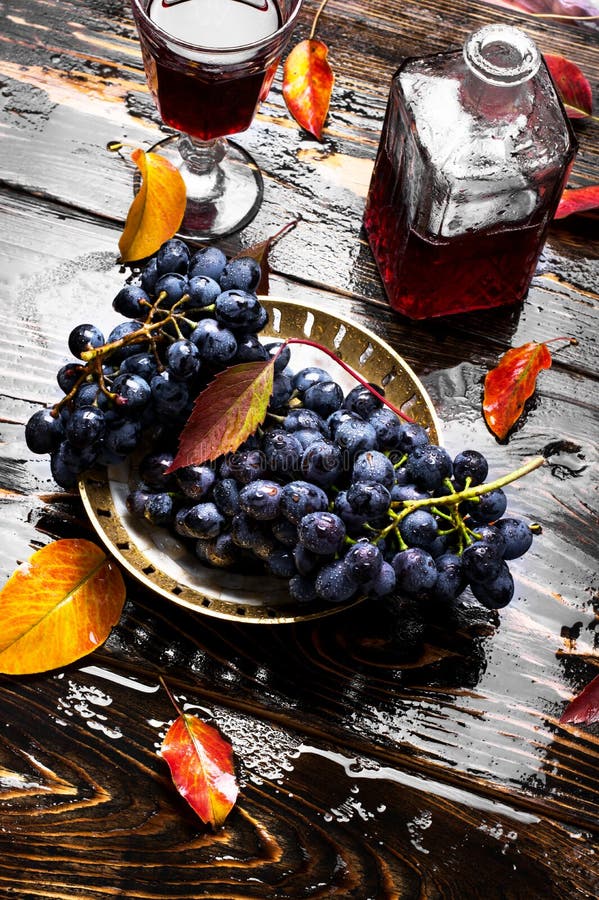 Vino de las uvas del otoño imagen de archivo Vino de las uvas del otoño imagen de archivo