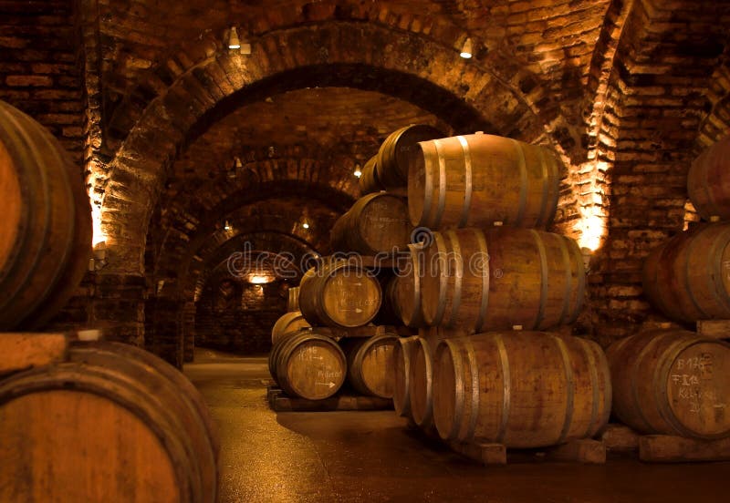 Vino-sótano foto de archivo libre de regalías Vino-sótano foto de archivo libre de regalías