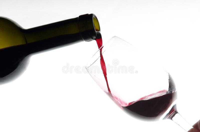 In Vino Veritas royalty free stock photos In Vino Veritas royalty free stock photos